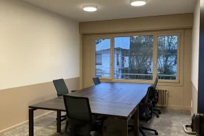 Bureau privé - 69006 - 4 postes - 1590€