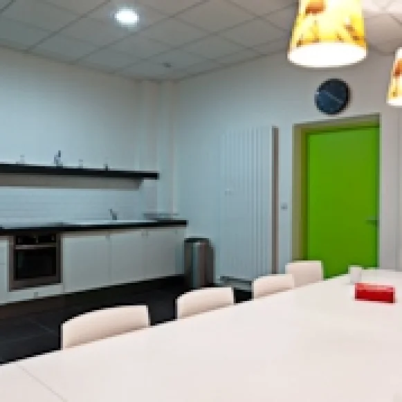 Bureau privé 14 m² 2 postes Location bureau Rue Jacques-Louis Hénon Lyon 69004 - photo 7