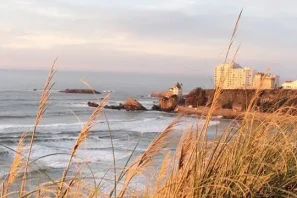 Open Space - 64200 - 12 postes - 179€