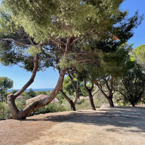 Bureau privé 12 m² 2 postes Coworking Rue Joseph Négro Port-de-Bouc 13110 - photo 2