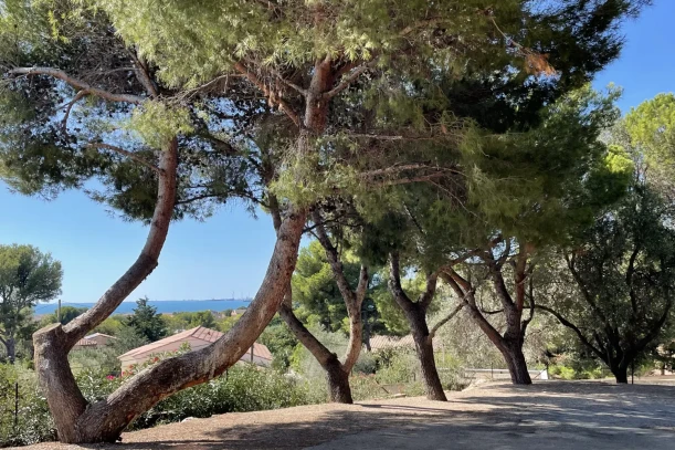 Bureau privé - 13110 - 2 postes - 430€