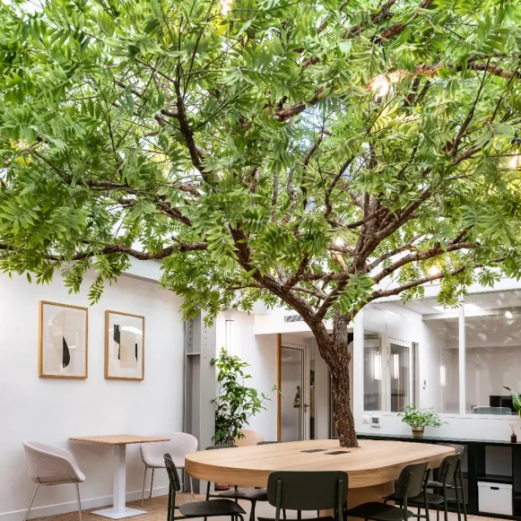 Bureau privé 17 m² 6 postes Coworking Rue du Chemin Vert Paris 75011 - photo 3