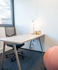 Bureau privé - 69791 - 1 poste - 461€