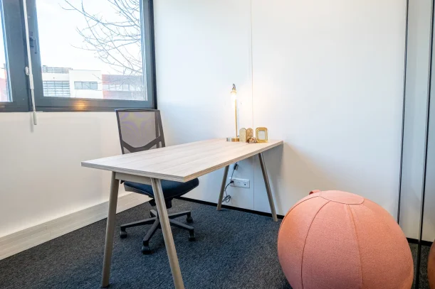 Bureau privé - 69791 - 1 poste - 461€