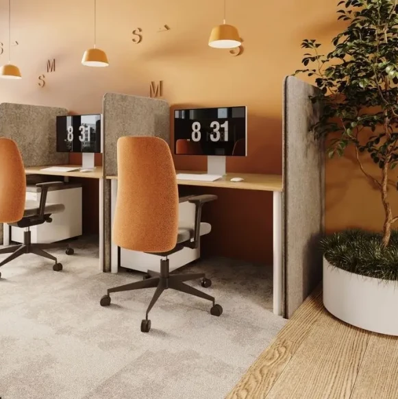 Open Space  6 postes Coworking Grande Rue Arbois 39600 - photo 1