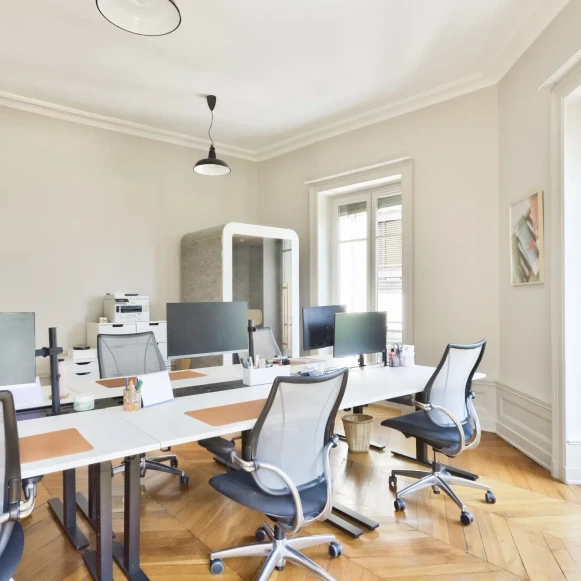 Bureau privé 135 m² 18 postes Coworking Rue de la République Lyon 69001 - photo 2