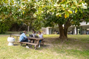 Open Space - 13012 - 4 postes - 300€