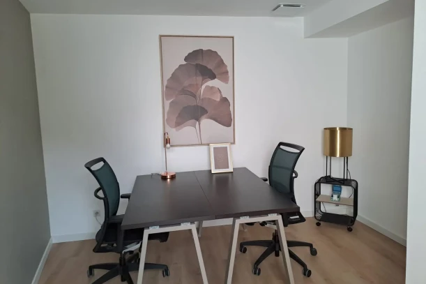 Bureau privé - 44330 - 2 postes - 520€