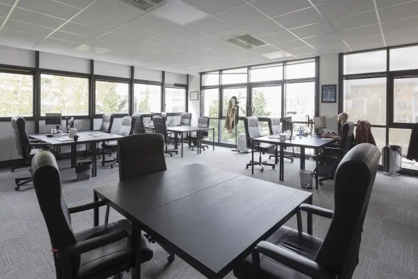 Bureau privé - 69007 - 30 postes - 8500€