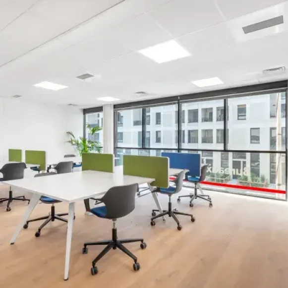 Bureau privé 150 m² 30 postes Coworking Rue Pré-Gaudry Lyon 69007 - photo 2