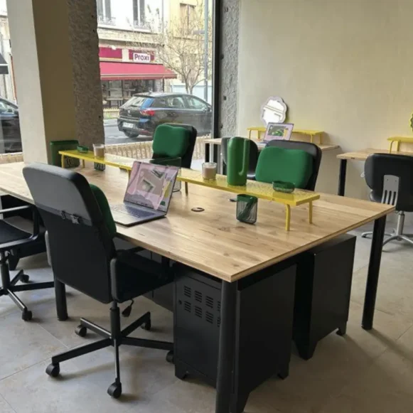 Open Space  3 postes Location bureau Rue Chevreul Lyon 69007 - photo 1