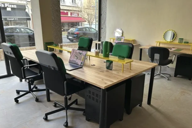 Open Space - 69007 - 3 postes - 250€