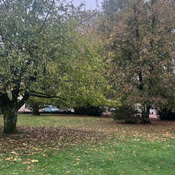 Bureau privé 16 m² 2 postes Location bureau Avenue du Grand Arietaz Chambéry 73000 - photo 3