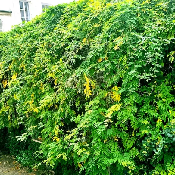 Bureau privé 21 m² 5 postes Location bureau Rue Meslay Paris 75003 - photo 11