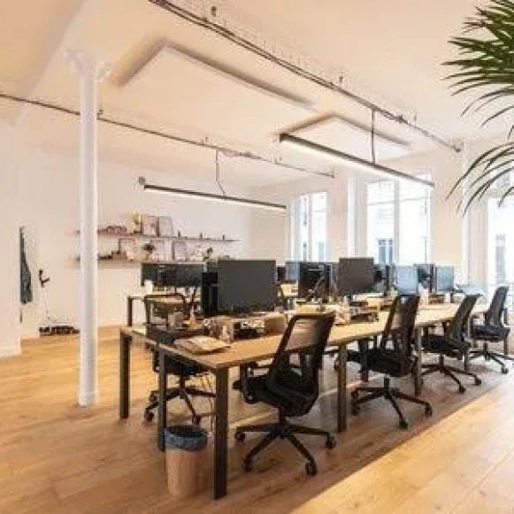 Espace indépendant 240 m² 40 postes Location bureau Rue Réaumur Paris 75002 - photo 10