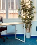 Bureau privé - 75015 - 3 postes - 790€