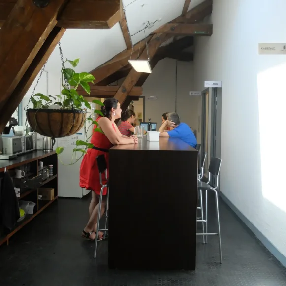 Bureau privé 16 m² 3 postes Location bureau Rue Professeur Zimmermann Lyon 69002 - photo 9