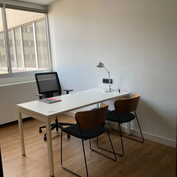 Bureau privé 891 m² 90 postes Coworking Boulevard Marius Vivier Merle Lyon 69003 - photo 12