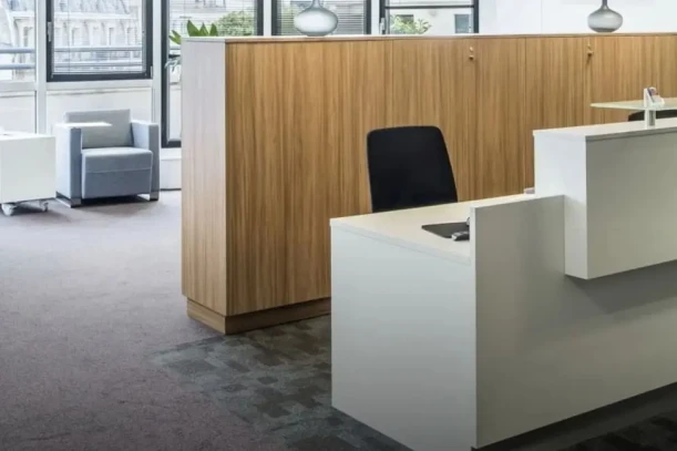 Bureau privé - 92300 - 10 postes - 2550€
