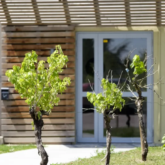 Bureau privé 12 m² 2 postes Location bureau  Feucherolles 78810 - photo 4