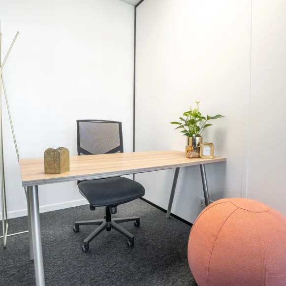 Bureau privé 5 m² 1 poste Coworking Allée Alexandre Borodine Saint-Priest 69791 - photo 1