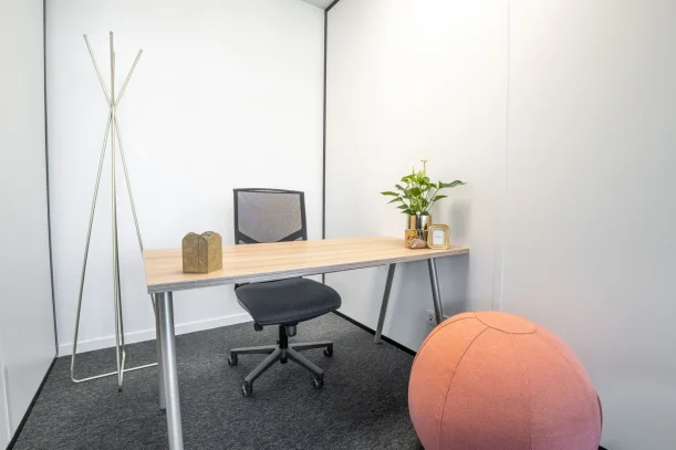 Bureau privé - 69791 - 1 poste - 339€