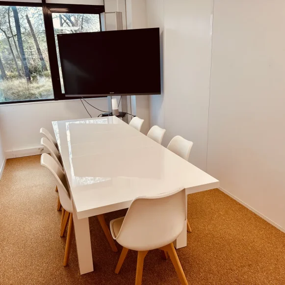 Open Space  8 postes Location bureau Avenue Maurice Donat Mougins 06250 - photo 3
