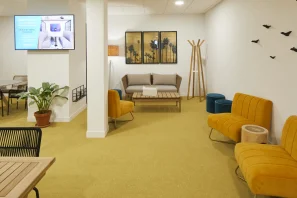 Bureau privé - 59800 - 1 poste - 250€