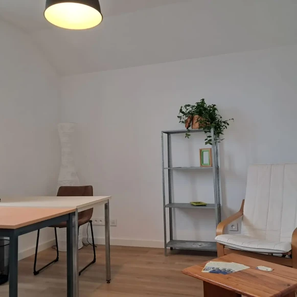 Bureau privé 13 m² 2 postes Location bureau Boulevard Auguste Peneau Nantes 44300 - photo 2