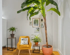 Espace indépendant