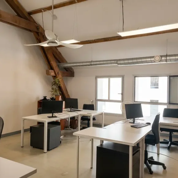 Bureau privé 28 m² 5 postes Coworking Rue Professeur Zimmermann Lyon 69002 - photo 2