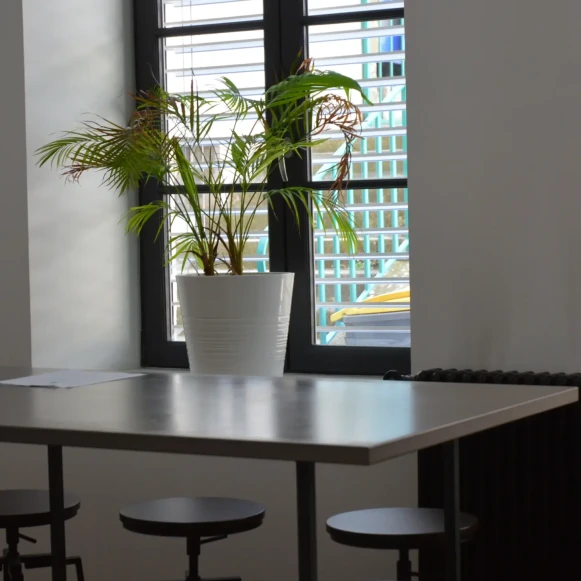 Open Space  4 postes Coworking Boulevard Saint-Louis Le Puy-en-Velay 43000 - photo 4