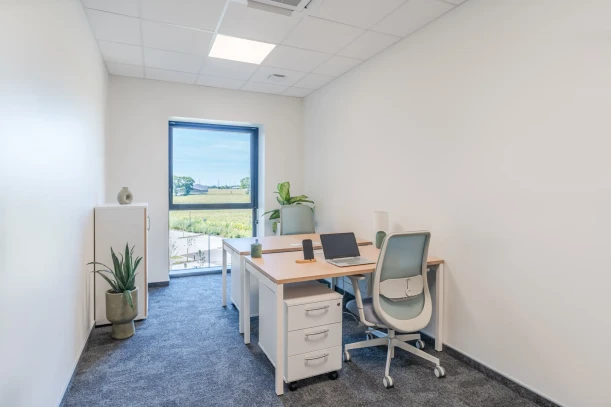 Bureau privé - 67300 - 2 postes - 890€