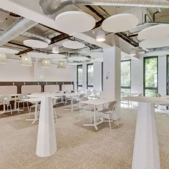 Bureau privé 38 m² 4 postes Coworking Avenue René Cassin Lyon 69009 - photo 8