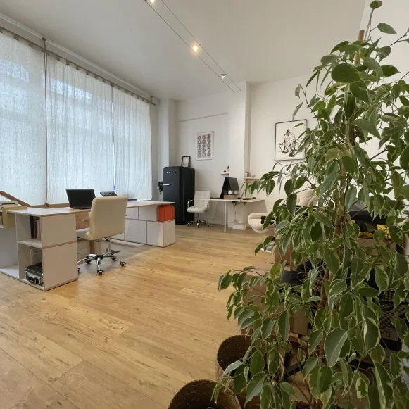 Bureau privé 52 m² 8 postes Location bureau Rue du Buisson Saint-Louis Paris 75010 - photo 1