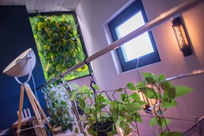 Open Space - 17000 - 3 postes - 200€