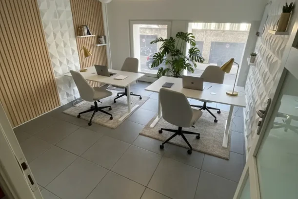 Bureau privé - 69100 - 25 postes - 7250€