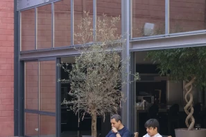 Open Space - 33100 - 10 postes - 150€