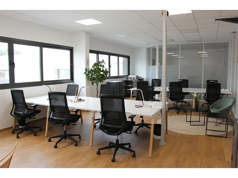 Open Space - 13580 - 12 postes - 290€