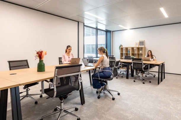 Bureau privé - 94120 - 12 postes - 3600€