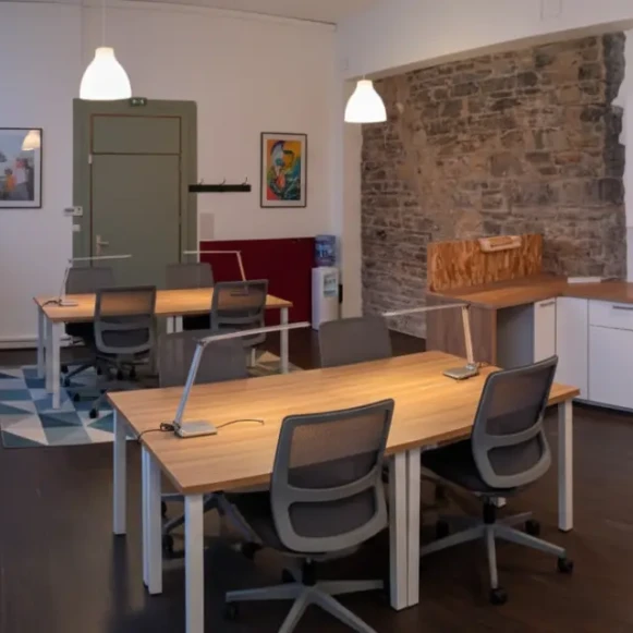 Open Space  10 postes Coworking Rue Saint-André Rhône 69007 - photo 1