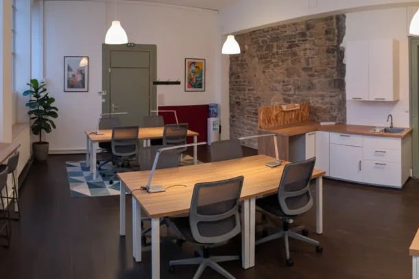 Open Space - 69007 - 10 postes - 199€