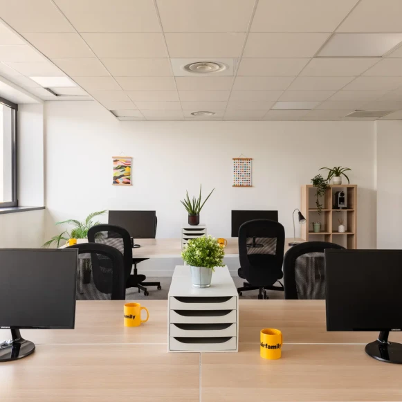 Espace indépendant 505 m² 45 postes Location bureau Avenue Paul Kruger Villeurbanne 69100 - photo 10