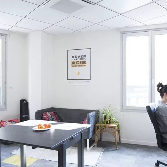 Bureau privé 18 m² 5 postes Coworking Rue du Commandant Fuzier Lyon 69003 - photo 1