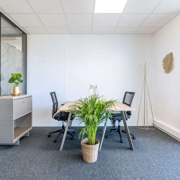 Bureau privé 17 m² 2 postes Location bureau Rue de la Haye Schiltigheim 67300 - photo 1