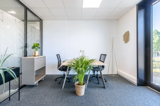 Bureau privé - 67300 - 2 postes - 1201€