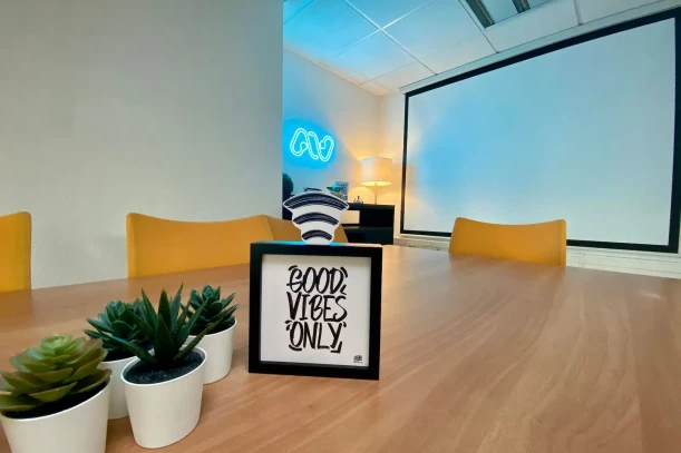 Open Space - 73000 - 8 postes - 250€