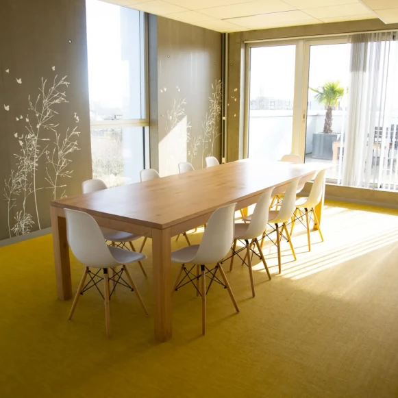 Open Space  30 postes Coworking Avenue Escadrille Normandie Niemen Blagnac 31700 - photo 6