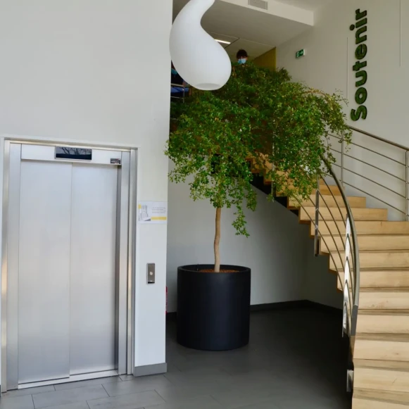 Open Space  30 postes Coworking Avenue Escadrille Normandie Niemen Blagnac 31700 - photo 2