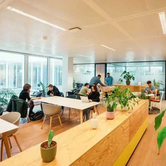 Bureau privé 550 m² 62 postes Location bureau Rue des Cuirassiers Lyon 69003 - photo 2